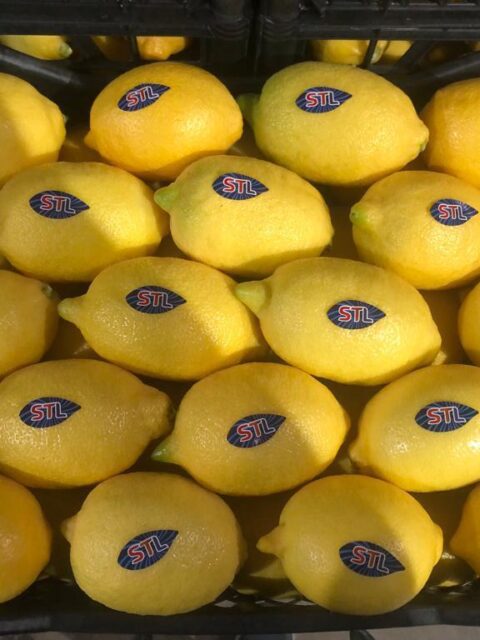 enterlimon