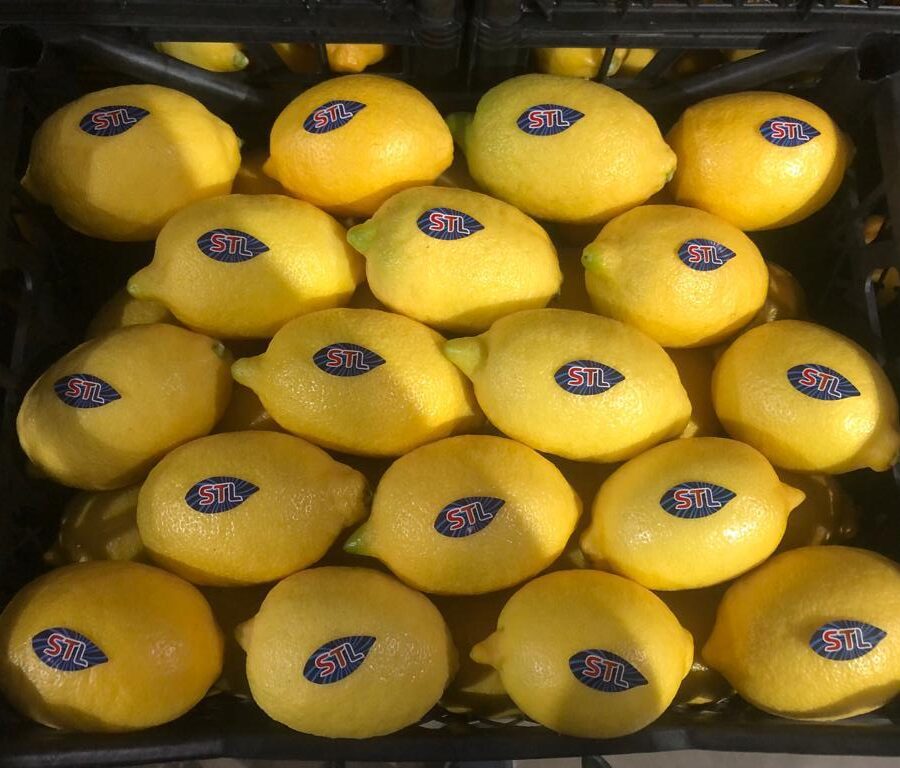 enterlimon