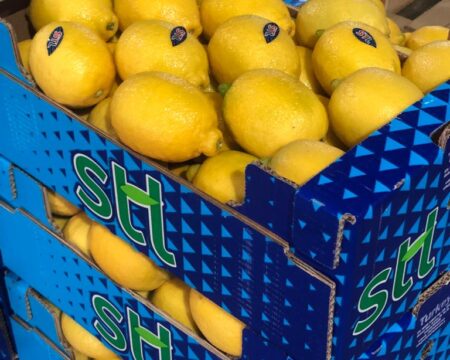 limon5