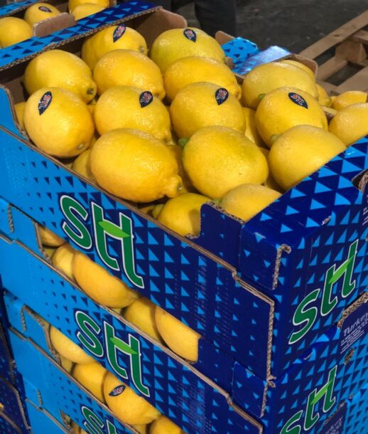 limon5