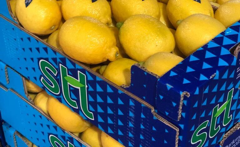 limon5