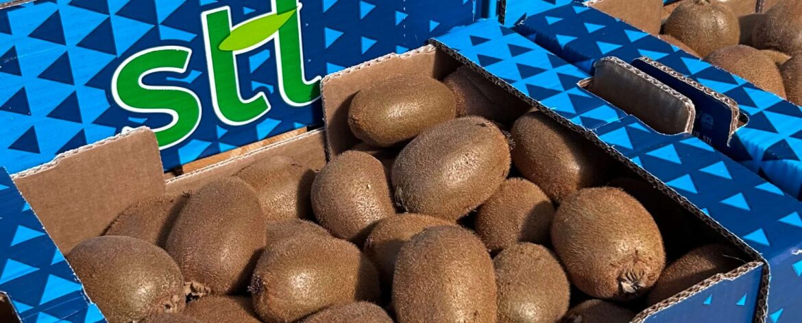 kiwi