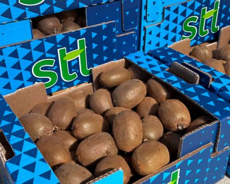kiwi