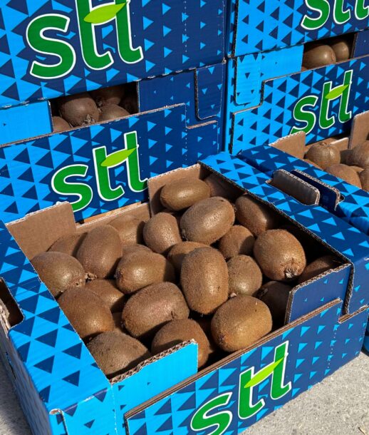 kiwi